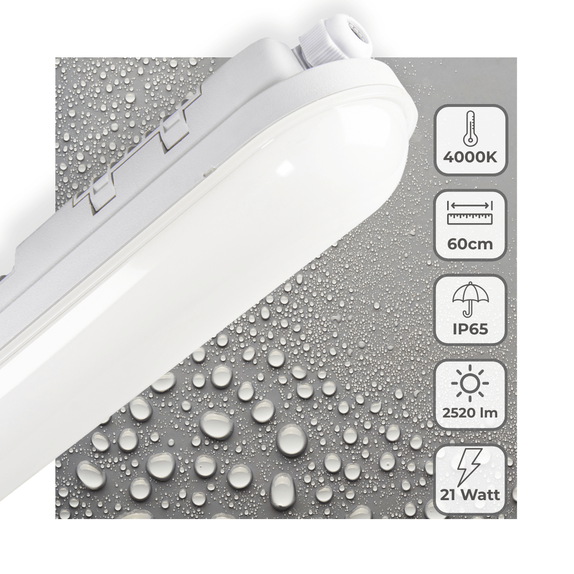 LED's Light Pro TL armatuur 60 cm – Geschikt voor binnen en buiten – 2500 lumen – IP65 waterdicht TL verlichting LED.nl