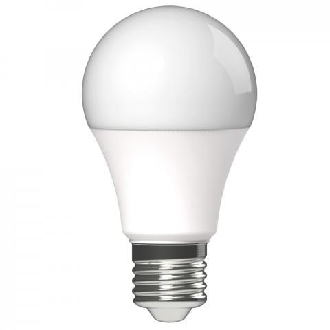 LED Lamp E27 - Mat - Warm wit licht - 8.5W vervangt 60W Lichtbronnen LED.nl