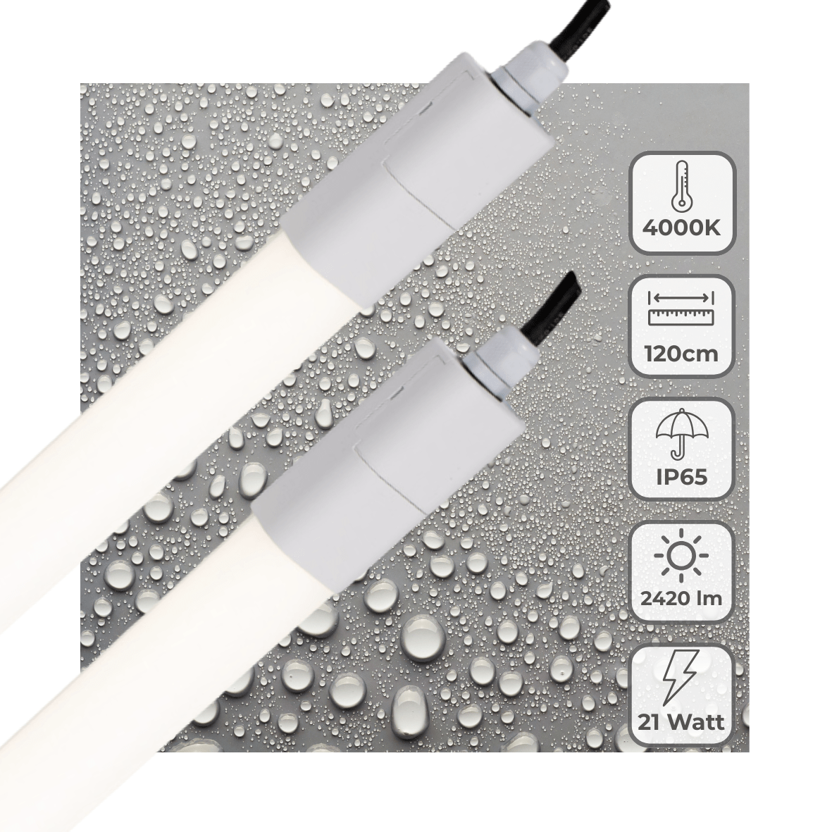 2 PACK - LED's Light LED TL verlichting compleet 120 cm - Geschikt voor buiten en binnen - 2420 lm - LED.nl