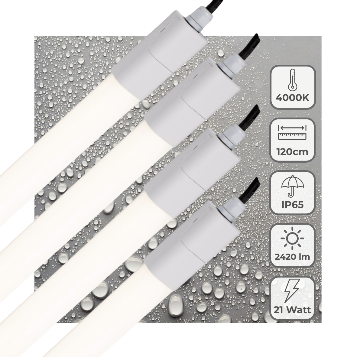 4 PACK - LED's Light LED TL verlichting compleet 120 cm - Geschikt voor buiten en binnen - 2420 lm - LED.nl