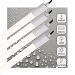 4 PACK - LED's Light LED TL verlichting compleet 150 cm - Geschikt voor buiten en binnen - 2750 lm - LED.nl