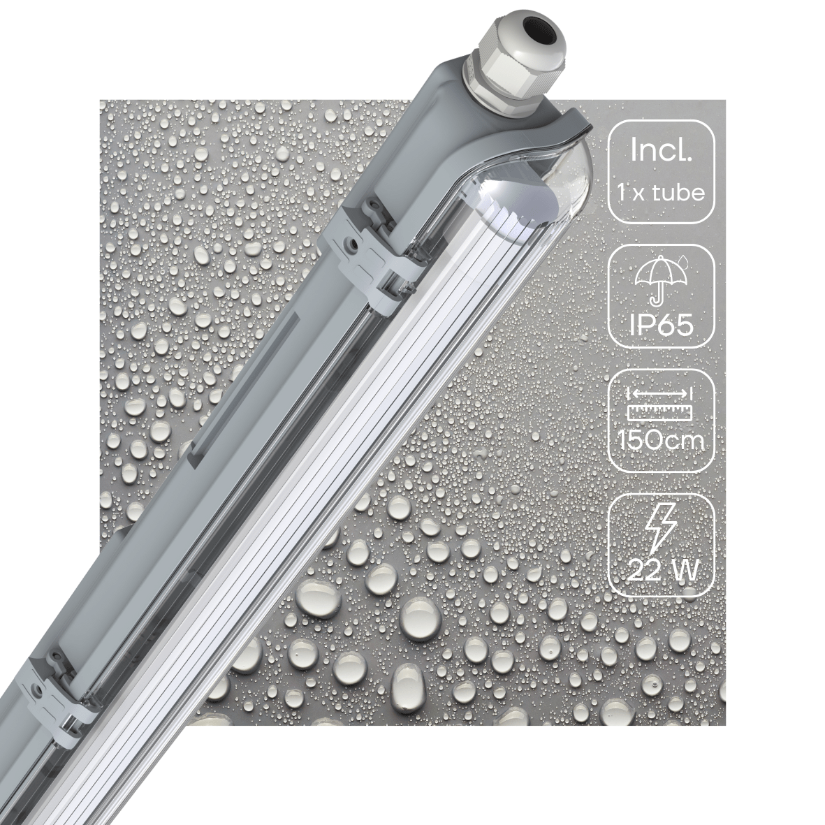 LED's Light LED TL armatuur 150 cm compleet met LED TL buis - 2300 lm - LED.nl