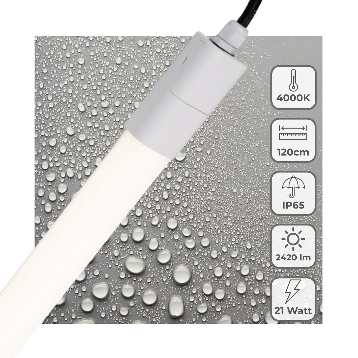 LED's Light LED TL verlichting compleet 120 cm - Geschikt voor buiten en binnen - 2420 lm - LED.nl