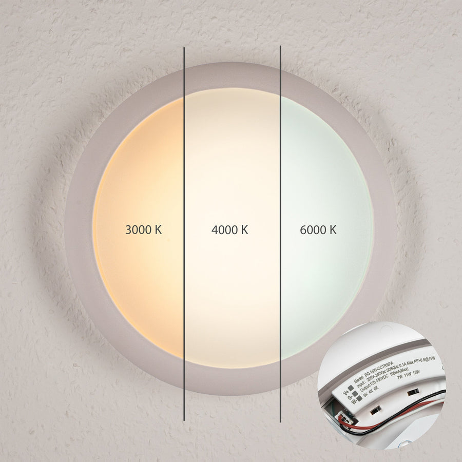 EasyFix LED Ceiling Lamp 30 cm - Light color and light intensity dimmable - Waterproof - IP66 - LED.nl