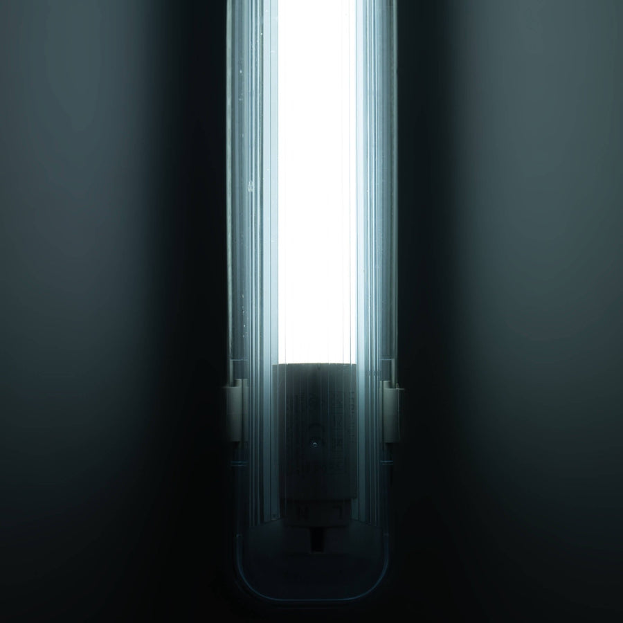 LED's Light Universele TL lamp LED 120 cm met starter - Koud wit licht (6500K) - 2030 lm Lichtbronnen Led.nl