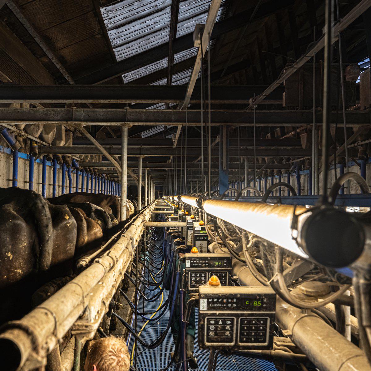 FarmPro LED TL armatuur 150 cm - Agrarische LED TL verlichting - Ammoniak- en waterbestendig - IP69K TL verlichting LED.nl