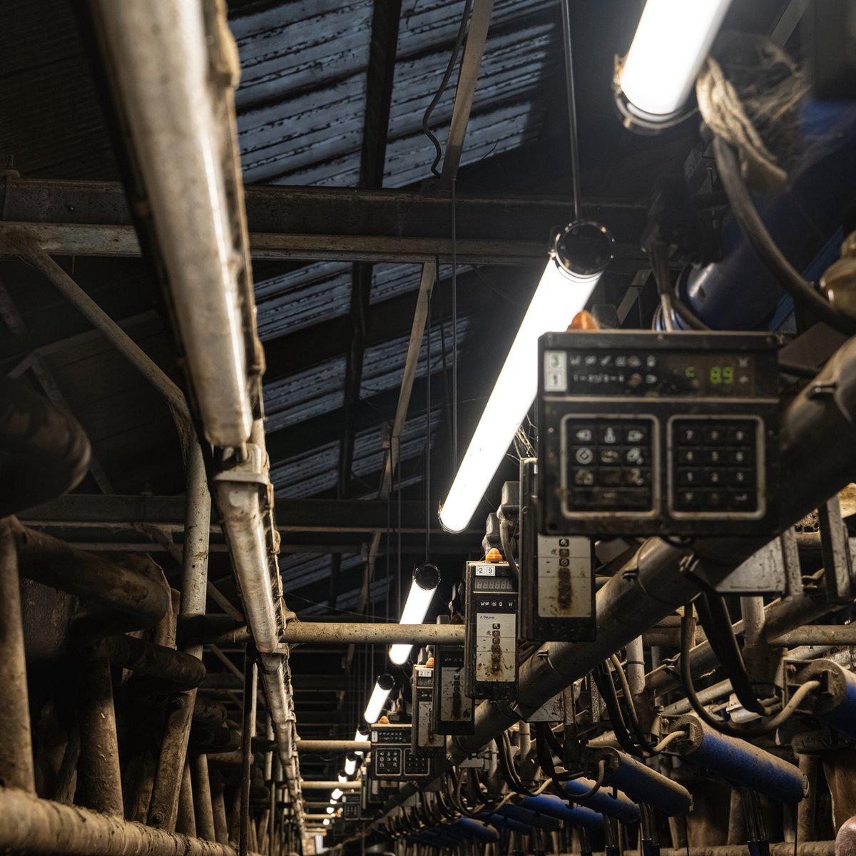 FarmPro LED TL armatuur 150 cm - Agrarische LED TL verlichting - Ammoniak- en waterbestendig - IP69K TL verlichting LED.nl