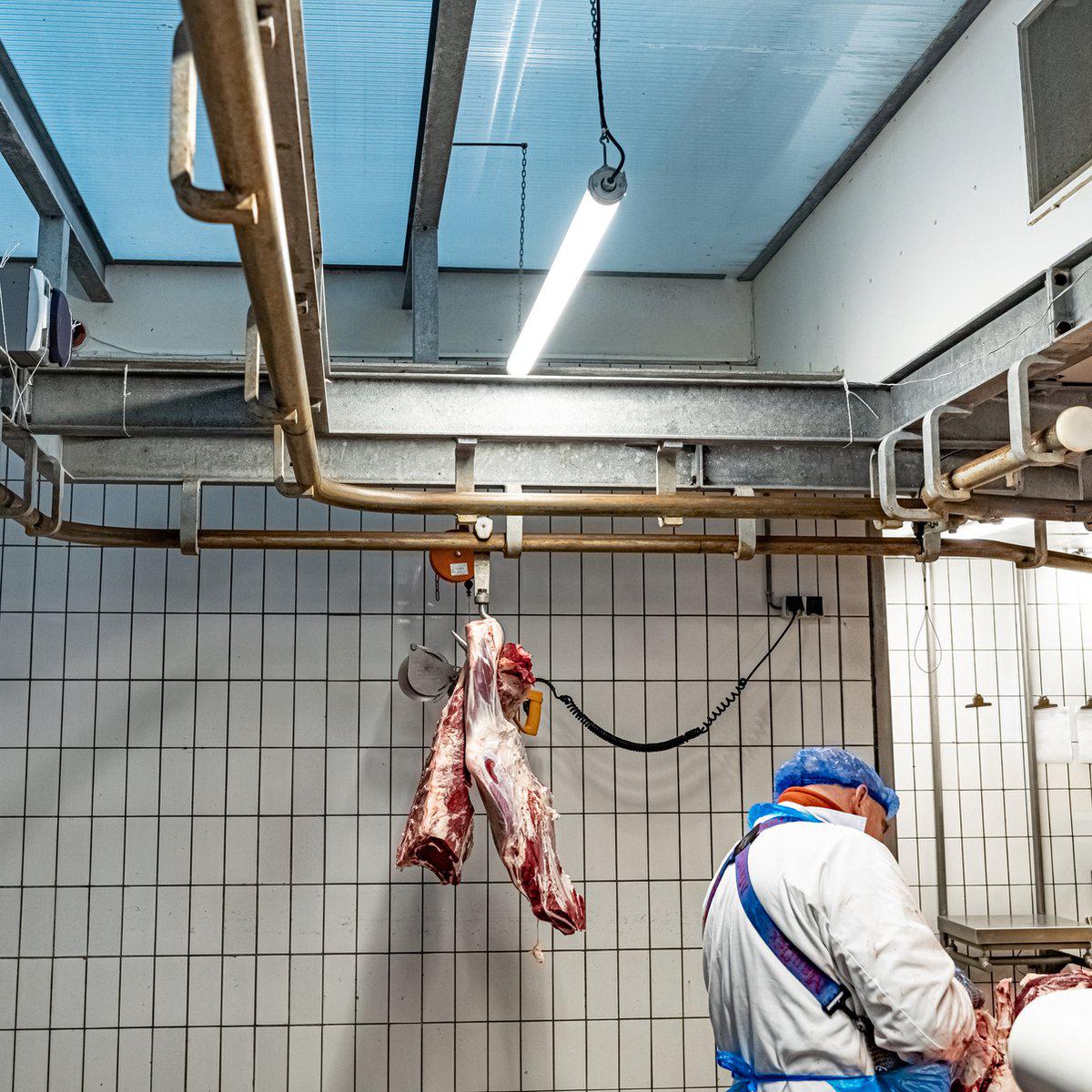 FarmPro LED TL armatuur 150 cm - Agrarische LED TL verlichting - Ammoniak- en waterbestendig - IP69K TL verlichting LED.nl