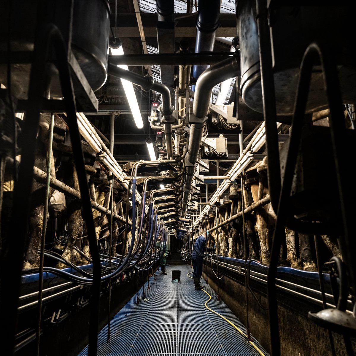 FarmPro LED TL armatuur 150 cm - Agrarische LED TL verlichting - Ammoniak- en waterbestendig - IP69K TL verlichting LED.nl