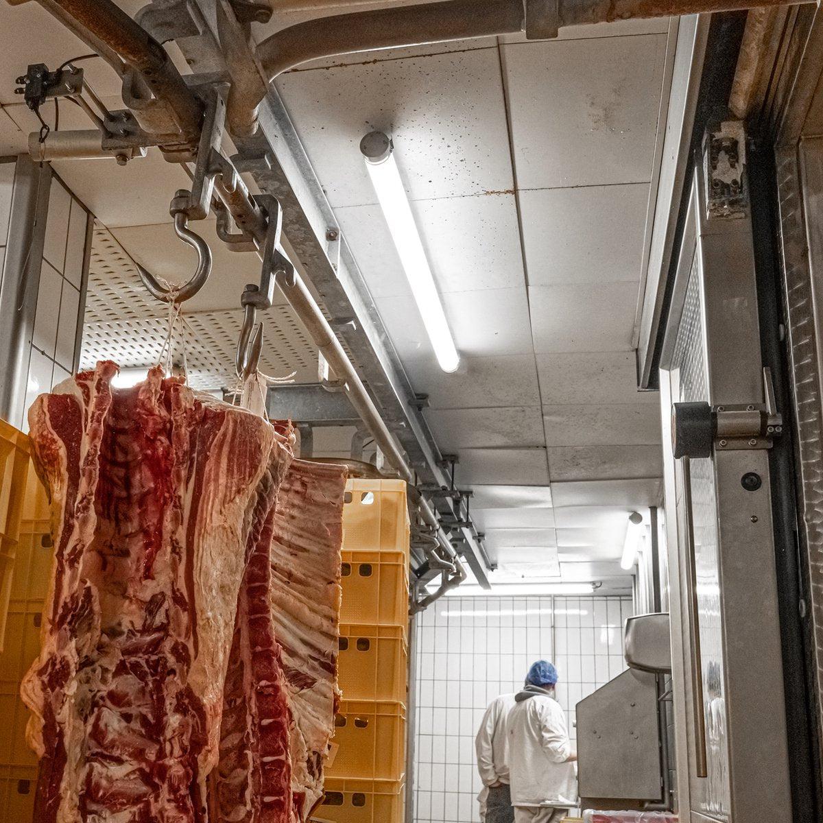 FarmPro LED TL armatuur 150 cm - Agrarische LED TL verlichting - Ammoniak- en waterbestendig - IP69K TL verlichting LED.nl