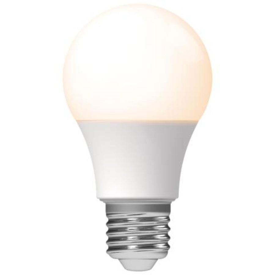 LED Lamp E27 - Mat - Warm wit - 4.9W vervangt 40W Lichtbronnen LED.nl