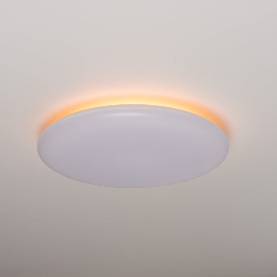 LED.nl Dimmable LED Ceiling Lamp _ 35 cm - Dimmable in 8 settings - Warm white ceiling lamp - LED.nl