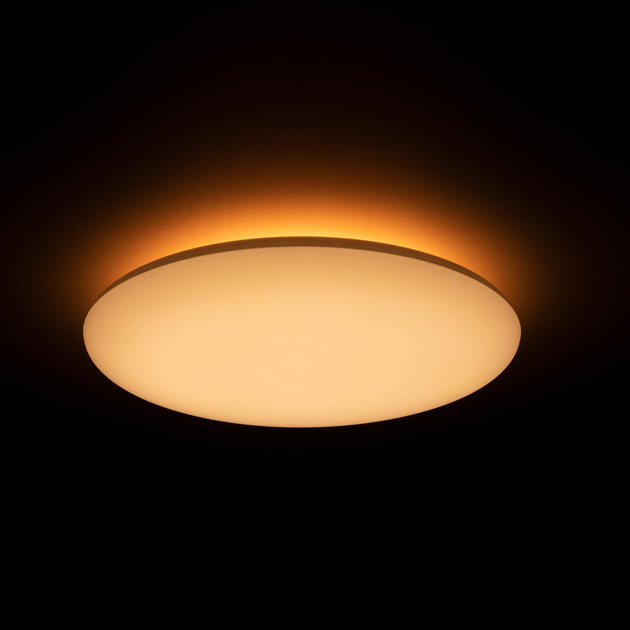 LED.nl Dimmable LED Ceiling Lamp _ 35 cm - Dimmable in 8 settings - Warm white ceiling lamp - LED.nl