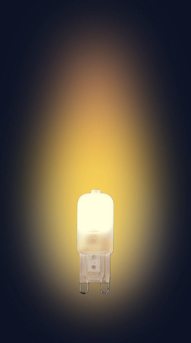 LongLife LED G9 Bulbs - Matt - 2W replaces 20W - Warm white light - LED.nl