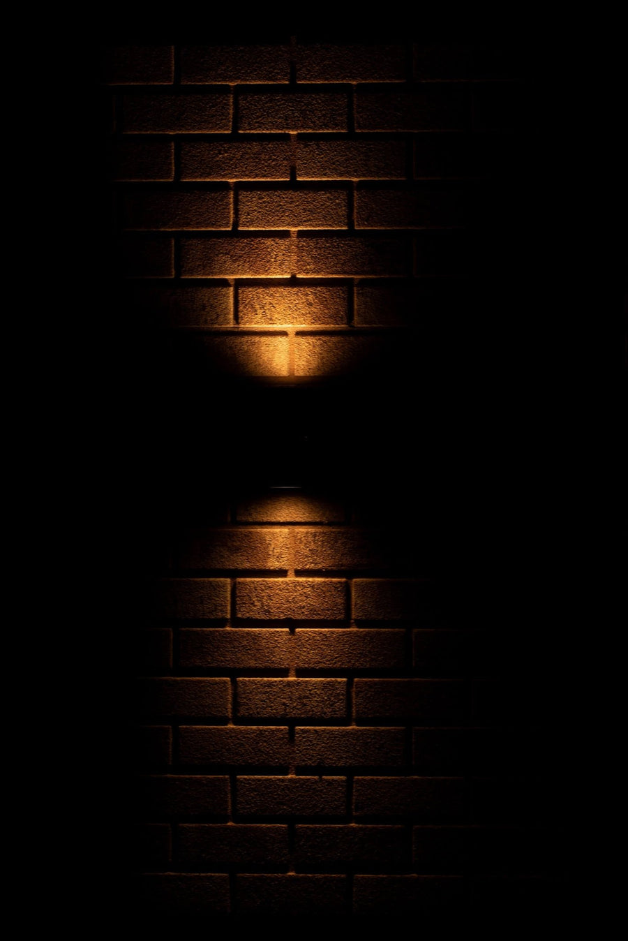 LED's Light stainless steel LED Wall Lamp Outdoor - Spot with 2 x GU10 fitting - Model Catania - IP44 - Silver - LED.nl
