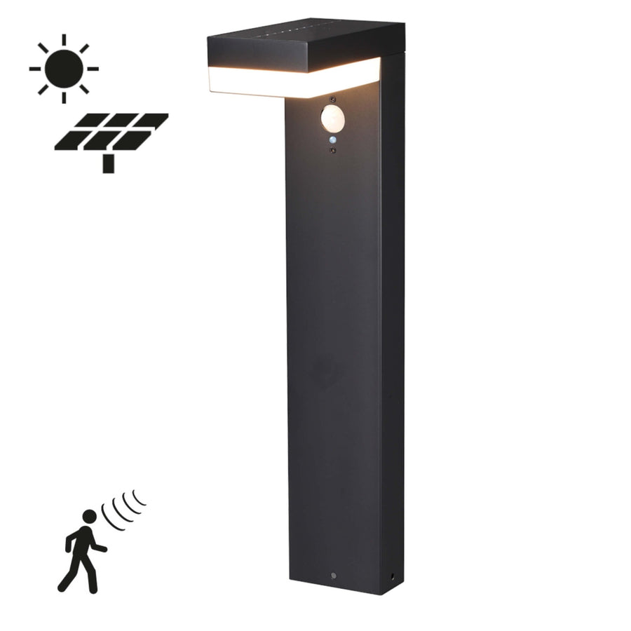 LED's Light stainless steel Solar LED Garden Lamp Pole Lamp with Motion Sensor - Wireless - 3 Modes - Black - LED.nl